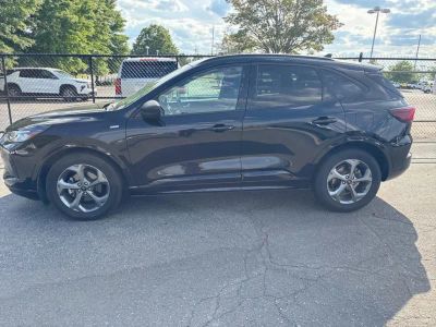 2024 Ford Escape - Photo 6