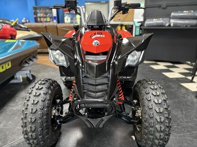 2025 Can-Am DS 250 - Photo 4