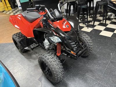 2025 Can-Am DS 250 - Photo 3
