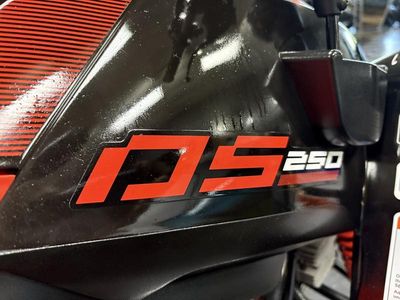 2025 Can-Am DS 250 - Photo 7