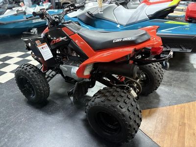2025 Can-Am DS 250 - Photo 6