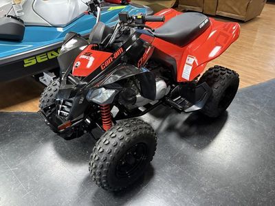 2025 Can-Am DS 250 - Photo 1
