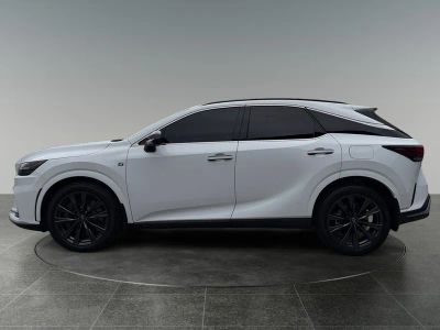 2024 Lexus RX — detail view