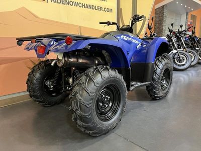2025 Yamaha Kodiak 450 - Photo 3