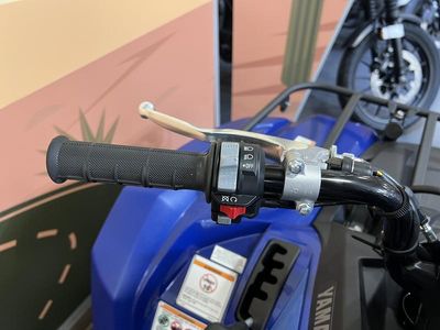 2025 Yamaha Kodiak 450 - Photo 8