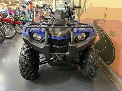 2025 Yamaha Kodiak 450 - Photo 2