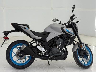 2025 Yamaha MT-03 - Photo 4