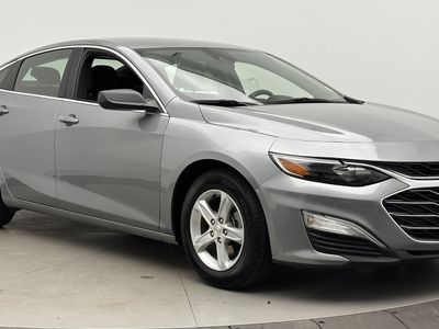 2023 Chevrolet Malibu - Photo 3