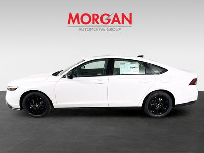 2025 Honda Accord Sedan - Photo 5