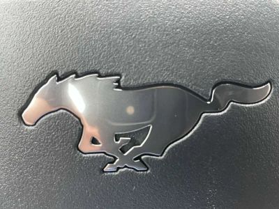 2025 Ford Mustang - Photo 25
