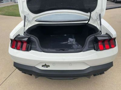 2025 Ford Mustang - Photo 10