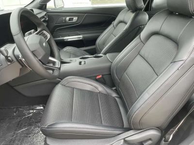 2025 Ford Mustang - Photo 12