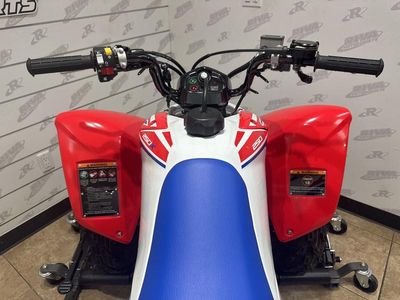 2026 Honda TRX250X - Photo 11