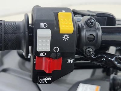 2025 Honda FourTrax Foreman Rubicon 4x4 EPS - Photo 13