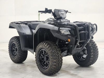 2025 Honda FourTrax Foreman Rubicon 4x4 EPS - Photo 1