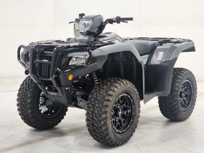 2025 Honda FourTrax Foreman Rubicon 4x4 EPS - Photo 2