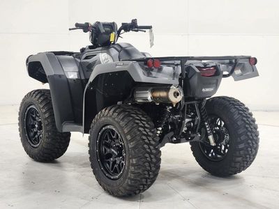 2025 Honda FourTrax Foreman Rubicon 4x4 EPS - Photo 4