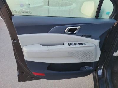 2026 Kia Carnival — detail view