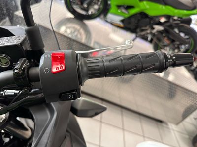 2025 Kawasaki Versys-X 300 ABS - Photo 7