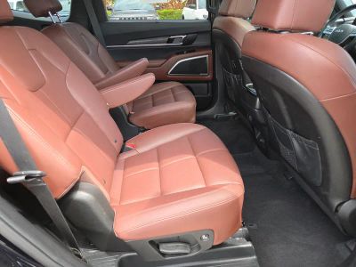 2024 Kia Telluride — photo 13 view