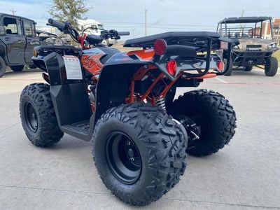 2025 Kayo Bull 125 EFI - Photo 5