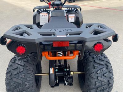 2025 Kayo Bull 125 EFI - Photo 16