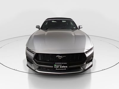 2025 Ford Mustang - Photo 2