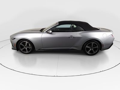 2025 Ford Mustang - Photo 4