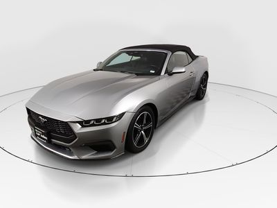 2025 Ford Mustang - Photo 3