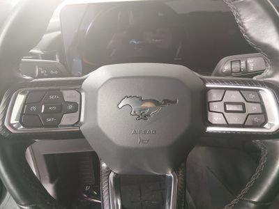 2025 Ford Mustang - Photo 12