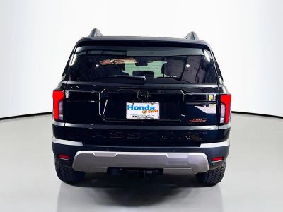 2026 Honda Passport — photo 19 view