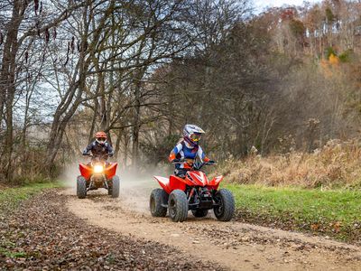 2026 Honda TRX90X - Photo 8