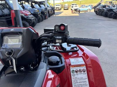 2025 Honda FourTrax Foreman Rubicon 4x4 Automatic DCT EPS - Photo 10