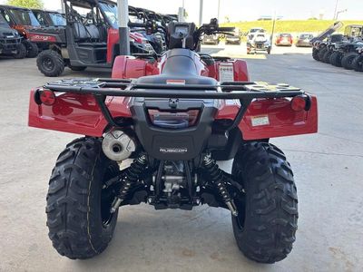 2025 Honda FourTrax Foreman Rubicon 4x4 Automatic DCT EPS - Photo 5