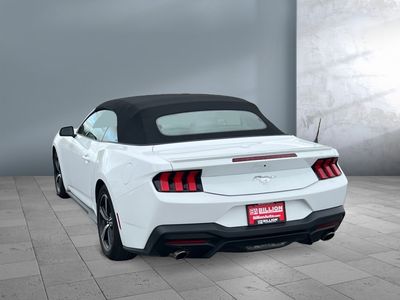 2024 Ford Mustang - Photo 3