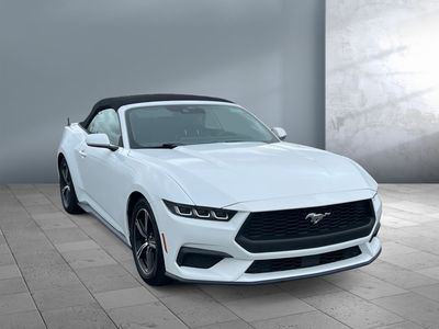 2024 Ford Mustang - Photo 1