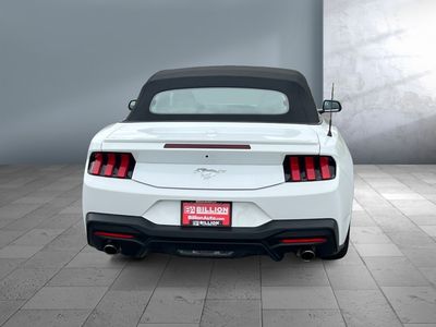 2024 Ford Mustang - Photo 4