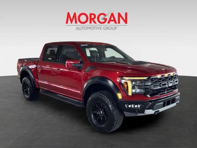 2025 Ford F-150 — side profile view