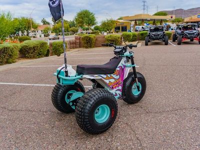 2026 MINI RCR T3 - Photo 4