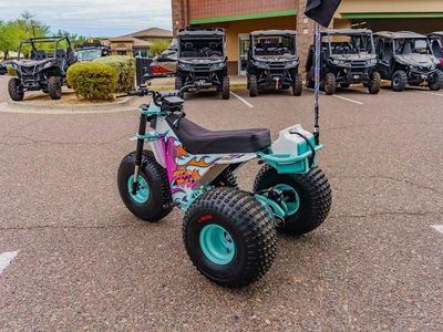 2026 MINI RCR T3 - Photo 5