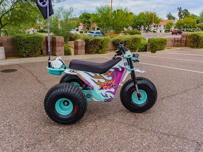 2026 MINI RCR T3 - Photo 3