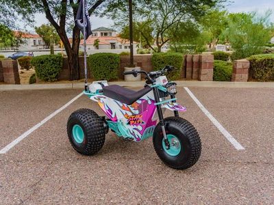 2026 MINI RCR T3 - Photo 2