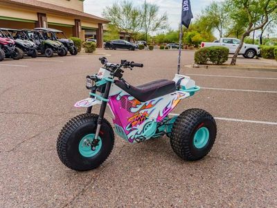 2026 MINI RCR T3 - Photo 7