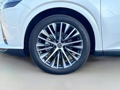 2024 Lexus RX — photo 44 view