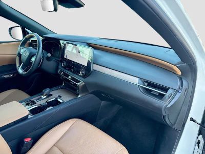 2024 Lexus RX — photo 15 view