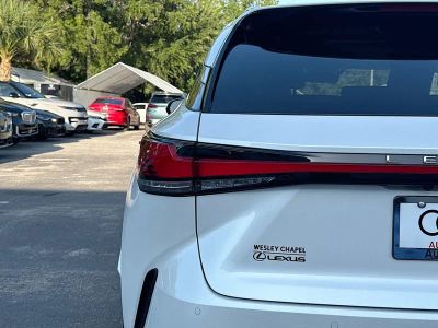 2024 Lexus RX — photo 10 view