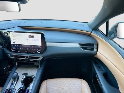 2024 Lexus RX — photo 19 view