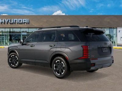 2026 Hyundai PALISADE — detail view