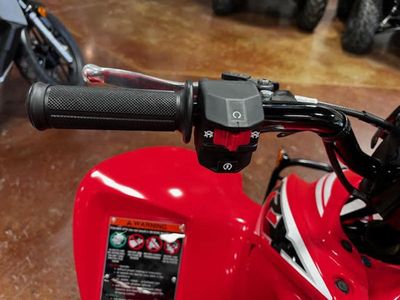 2026 Honda TRX90X - Photo 9