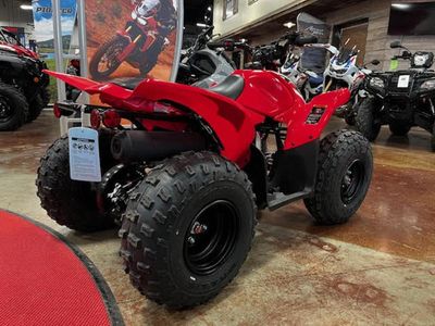 2026 Honda TRX90X - Photo 8